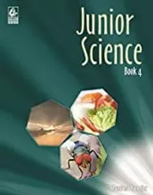 Junior Science 4