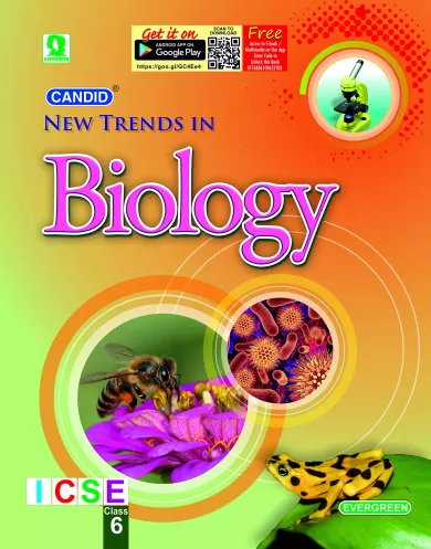 Evergreen Candid ICSE New Trends Chemistry : For 2022 Examinations(CLASS 6 )