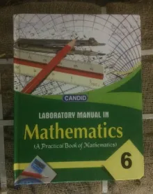 Lab Manual In Mathematics Class 6