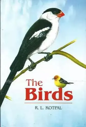 The Birds 