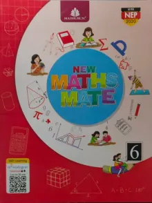 New Maths Mate For Class 6