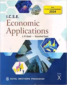 Icse Economic Applications-10