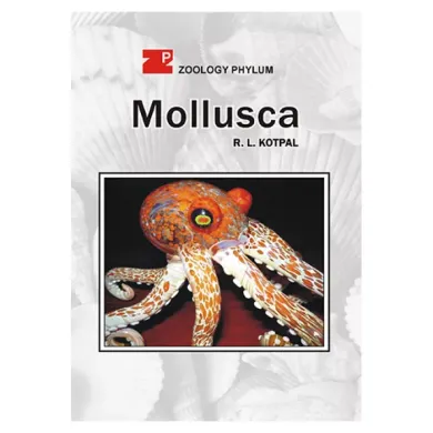 MOLLUSCA