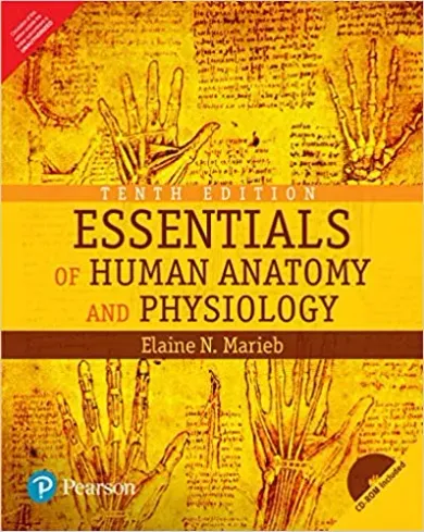 Essentials Of Human Anatomy & Physiology