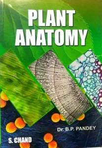 Plant Anatomy