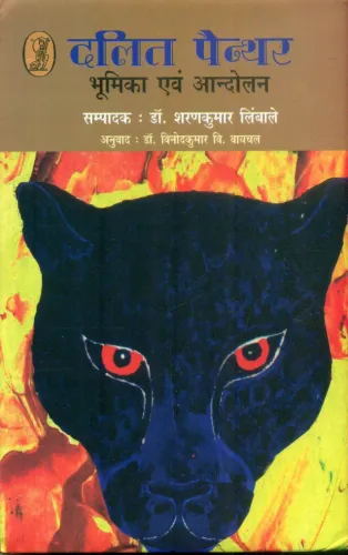 Dalit Painther : Bhoomika Evam Aandolan