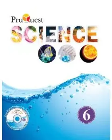 HOLY FAITH - Pruquest Science 6