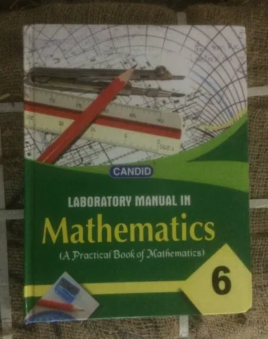 Lab Manual In Mathematics Class 6