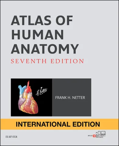 Atlas of Human Anatomy, International Edition, 7e