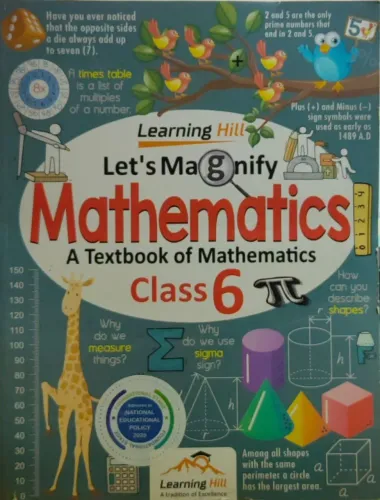 Lets Magnify Mathematics For Class 6