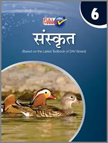 Sanskrit Class 6 Dav (2018-19 Session)