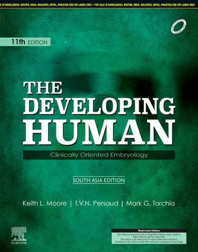 The Developing Human