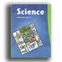 Science Textbook For Class 6