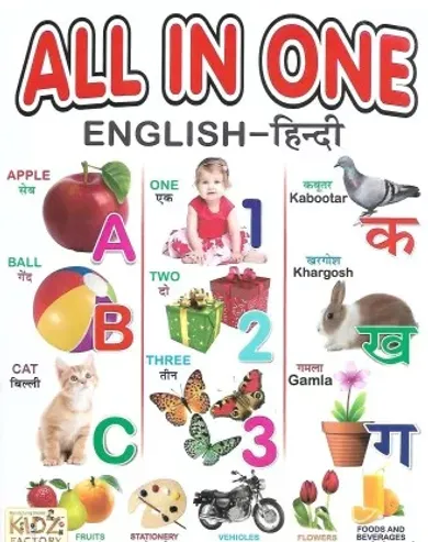 ALL IN ONE ENGLISH - HINDI