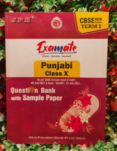 JPH Class 10 Examate Punjabi Class 10