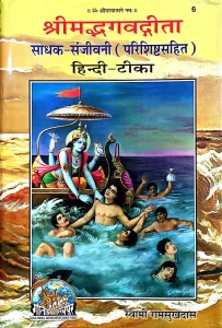 Shreemad Bhagwad Geeta Sadhak-Sanjiwani (Hindi Teeka)